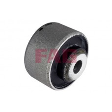 829 0418 10 FAG Підвіска важіль незалежної підвіски колеса