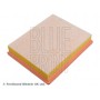 ADBP220099 BLUE PRINT Повітряний фільтр