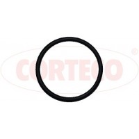 026999H CORTECO Прокладка впускного колектора