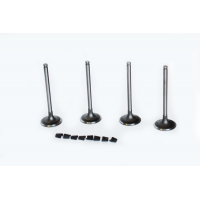 впускний клапан ASAM 30463