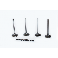 впускний клапан ASAM 30463