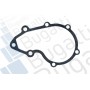 PA0203 BUGATTI Водяний насос охолодження двигуна