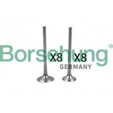 впускний клапан Borsehung B18637