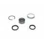 WBK-9009 KAVO PARTS Комплект підшипника ступиці колеса