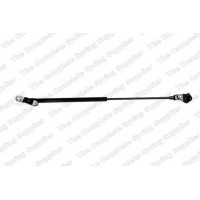 GS0696 ROC Газова пружина кришка багажника