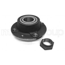 619-2667 CIFAM Комплект підшипника ступиці колеса