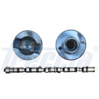 CM05-2186 FRECCIA Распредвал