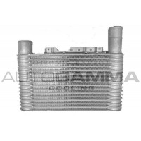 107304 AUTOGAMMA Интеркулер
