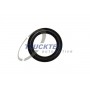 02.13.121 TRUCKTEC AUTOMOTIVE Прокладка паливопровід