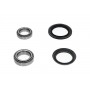WBK-4541 KAVO PARTS Комплект підшипника ступиці колеса