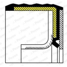 NA5230 PAYEN Ущільнювальне кільце колінчастий вал