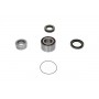 WBK-5516 KAVO PARTS Комплект підшипника ступиці колеса