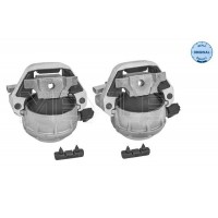 Підвіска двигун MEYLE 100 199 3102/S