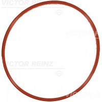 71-18338-00 VICTOR REINZ Прокладка впускного колектора