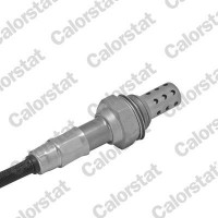 LS030070 CALORSTAT by Vernet датчик кисню