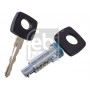 24976 FEBI BILSTEIN Циліндр замка
