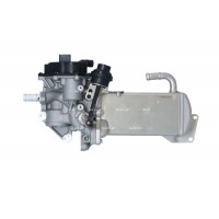 48202 NRF Модуль повернення ОГ