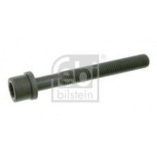06666 FEBI BILSTEIN Болт головки циліндра