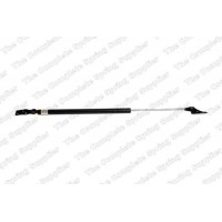 GS0870 ROC Газова пружина кришка багажника