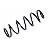 75963 ASAM Пружина ходової частини