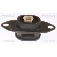 Підвіска двигун TRISCAN 8505 25116
