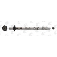 CAM746 AE Распредвал