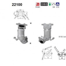22100 AS Катализатор