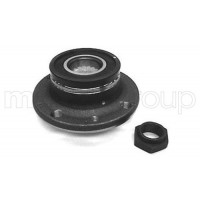 619-2536 CIFAM Комплект підшипника ступиці колеса