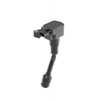 ZSE215 BorgWarner (BERU) Котушка запалювання