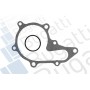 PA10001 BUGATTI Водяний насос охолодження двигуна