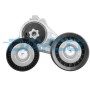 APV2775 DAYCO НАТЯЖИТЕЛЬ РЕМЕНЯ, клиновой зубча