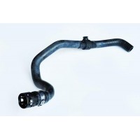 32806 ASAM Шланг радіатора