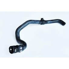 32806 ASAM Шланг радіатора