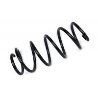 72888 ASAM Пружина ходової частини