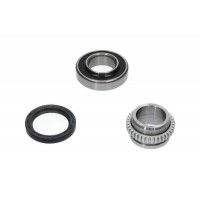 WBK-8528 KAVO PARTS Комплект підшипника ступиці колеса
