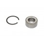 WBK-3017 KAVO PARTS Комплект підшипника ступиці колеса