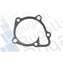 PA10149 BUGATTI Водяний насос охолодження двигуна