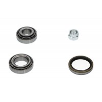 WBK-4007 KAVO PARTS Комплект підшипника ступиці колеса