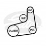 6PK1019SF GATES Поліклиновий ремінь