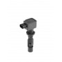 ZSE217 BorgWarner (BERU) Котушка запалювання