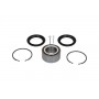 WBK-6504 KAVO PARTS Комплект підшипника ступиці колеса