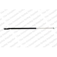 GS0698 ROC Газова пружина кришка багажника