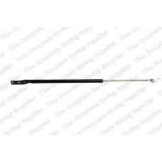 GS0698 ROC Газова пружина кришка багажника