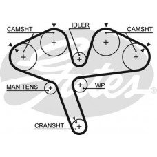 5376XS GATES Зубчастий ремінь