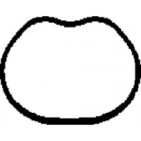 450136H CORTECO Прокладка впускного колектора