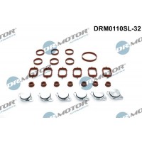 DRM0110SL-32 Dr.Motor Automotive Комплект прокладок впускний колектор