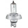 8GJ 004 173-121 HELLA Лампа розжарювання