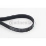 6PK1173 CONTINENTAL CTAM Поліклиновий ремінь