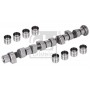03131 FEBI BILSTEIN Комплект розподільного валу