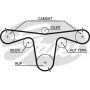 K015594XS GATES Комплект ременя ГРМ